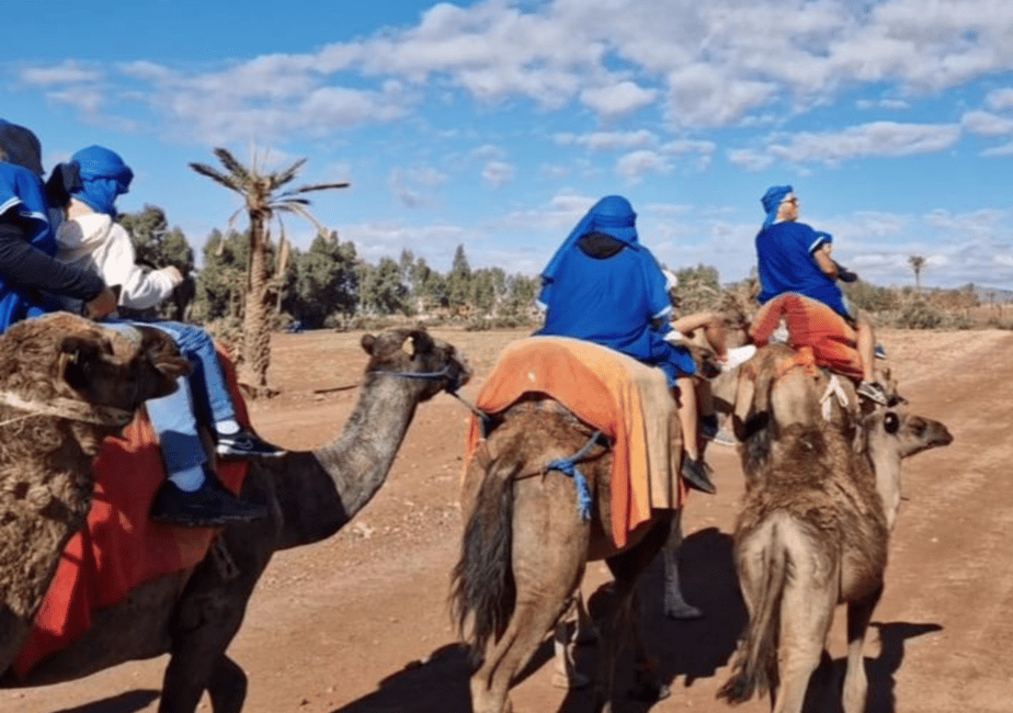 Bild Nr. 22 von Marrakech: Kamelritt in der Palmeraie und traditionelles marokkanisches Spa Aktivität in Marrakesch, hochgeladen vom Anbieter
