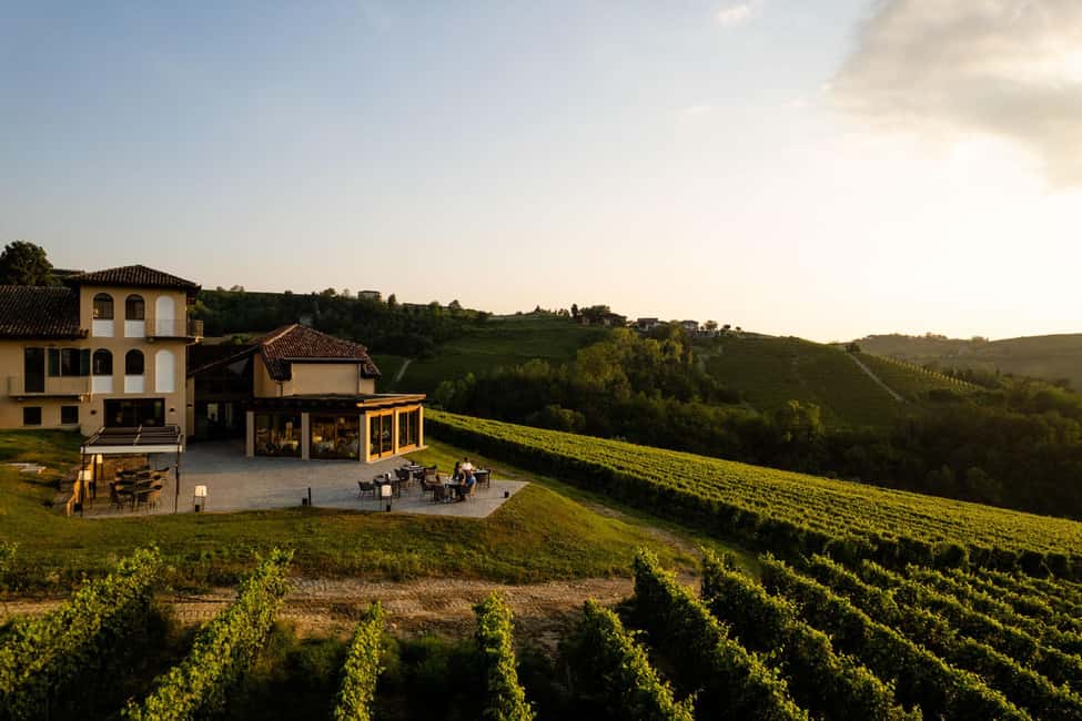 billede nr.2 af aktiviteten Monforte d'Alba: Barolo-smagning, vingårds- og kælderbesøg i Monforte d'Alba, uploadet af udbyder