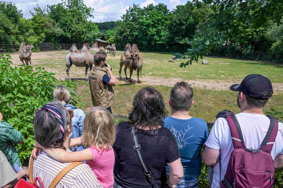 afbeelding n.6 van Dierentuin Praag: Voorrangsticket voorrangstoegang activiteit in Praag, geüpload door aanbieder
