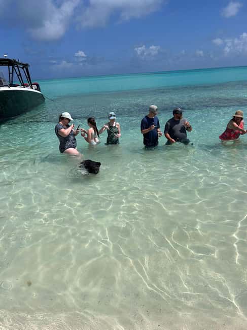 image n.92 of Nassau: 3 Islands Tour, Snorkel, Pig Beach, Turtles & Lunch activity in Berry Islands, uploaded by supplier