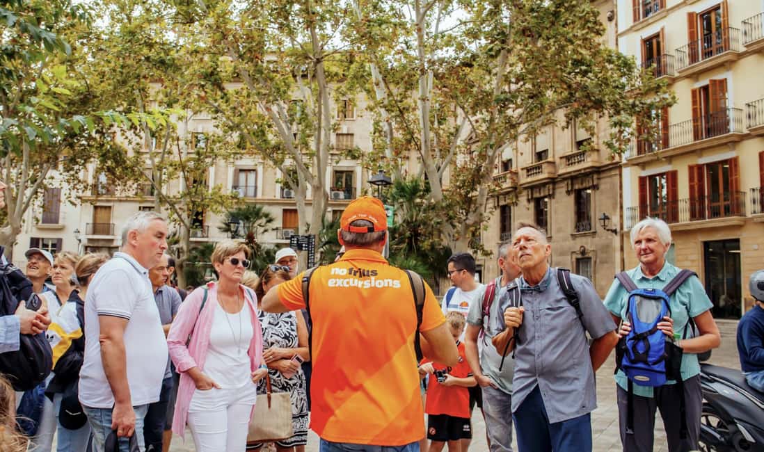 bild nr.26 av Palma de Mallorca: Rundtur i Gamla stan och katedralen aktivitet i Palma de Mallorca, uppladdad av arrangören
