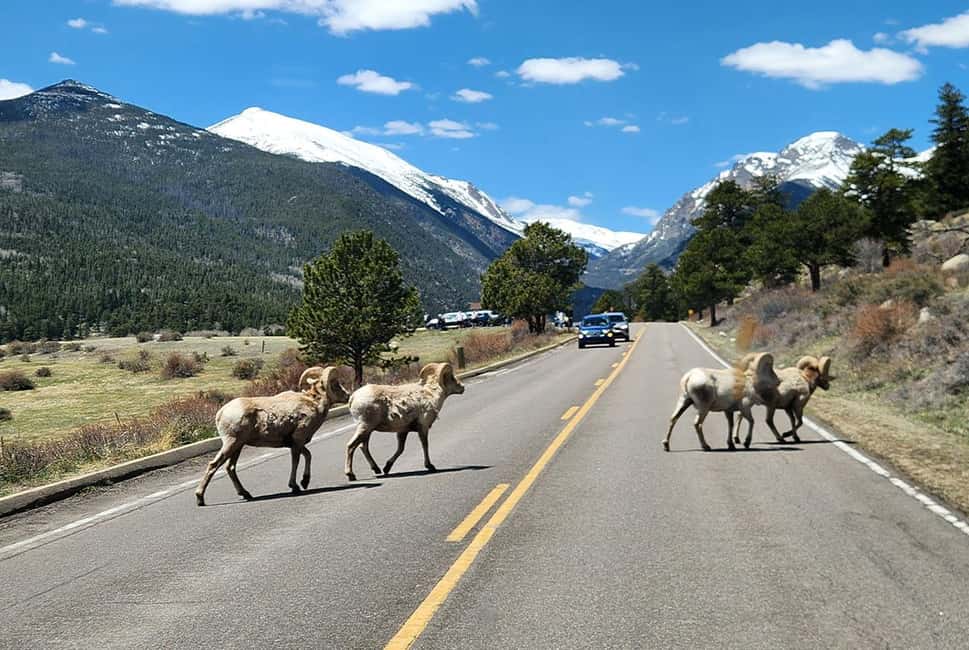 image n.2 of Denver/Boulder: Rocky Mountain National Park Tour activity in Denver, uploaded by supplier
