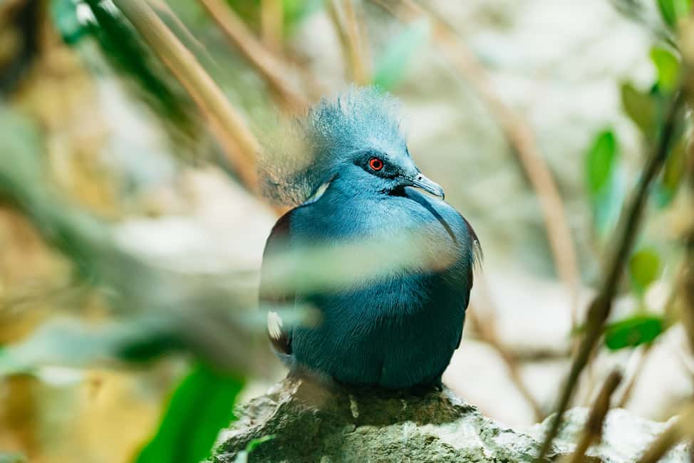 afbeelding n.6 van Barcelona: Dagticket voor de dierentuin van Barcelona activiteit in Barcelona, geüpload door aanbieder