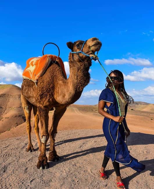 imagen n.º 17 de Marrakech: excursión en quad y paseo en camello por el desierto de Agafay con cena y espectáculo actividad en Marrakech, subida por el proveedor
