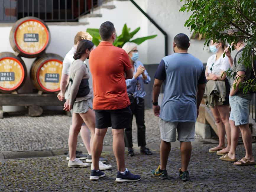 image n.8 of From Funchal: Full-Day Madeira Wine Tour with Lunch activity in Câmara de Lobos, uploaded by supplier