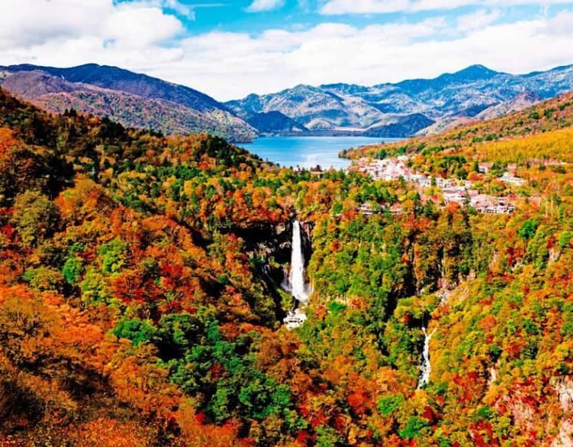 Immagine nº 3 di Da Tokyo: Tour panoramico privato di Nikko di una giornata intera attività a Nikkō, caricata dal fornitore