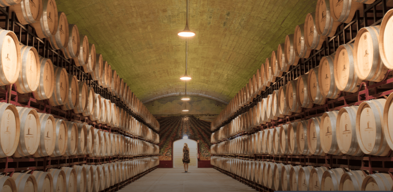 image n.14 of Wine Tasting - Private Half-Day Tour activity in Lisbon, uploaded by supplier