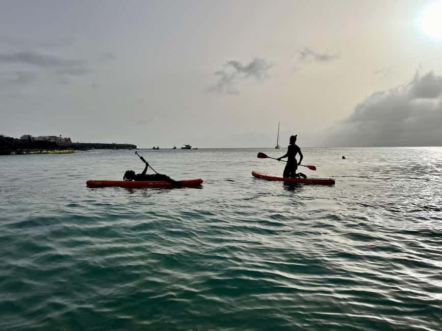 imagem n.3 de SUP Tarrafal: Aula e passeio de stand up paddle atividade em Tarrafal, carregada pelo fornecedor