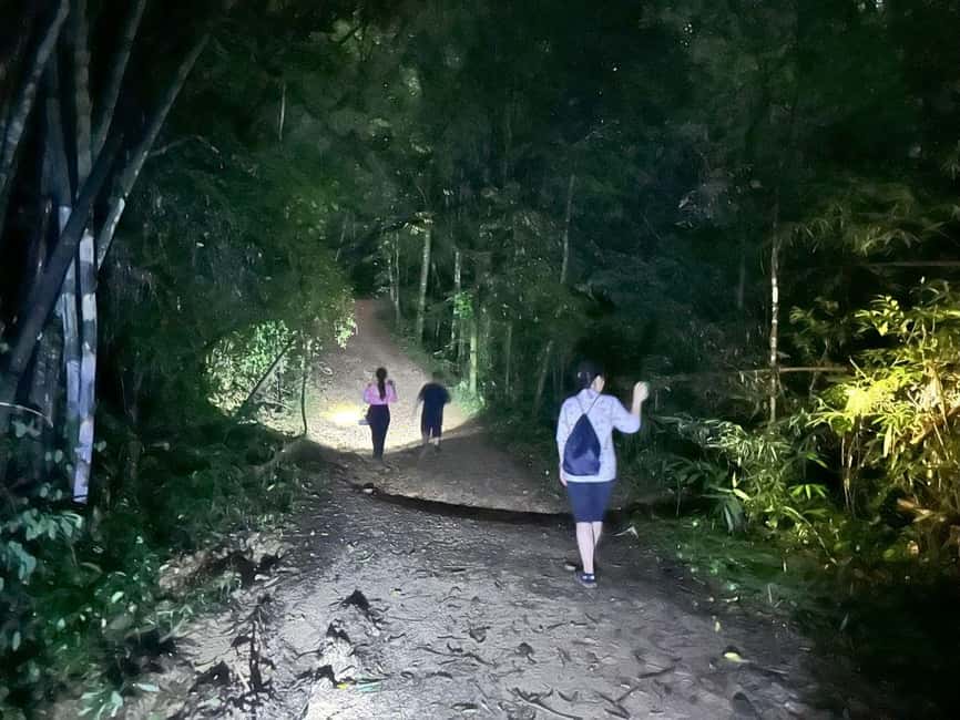 image n.4 of Khao Sok Jungle Sunset Wildlife Encounter & Bamboo Rafting activity in Phanom, uploaded by supplier