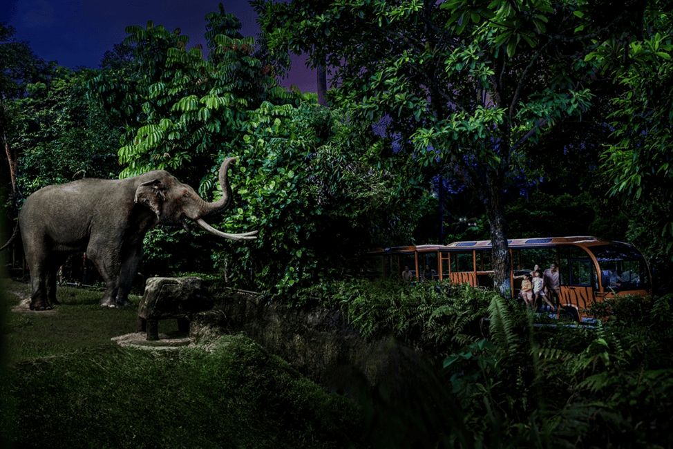 imagem n.25 de Singapura: Ingresso para o Safari Noturno e para o Passeio de Elétrico atividade em Singapura, carregada pelo fornecedor