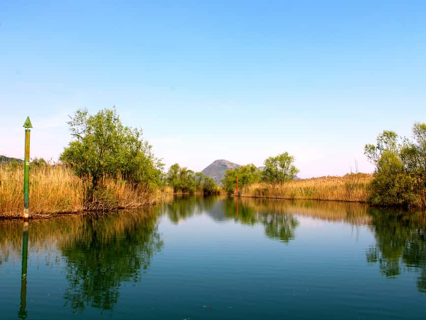 Bild Nr. 2 von Virpazar: Geführte Kreuzfahrt auf dem Skadar-See und dem Fluss Crnojevića Aktivität in Kreis Shkodra, hochgeladen vom Anbieter