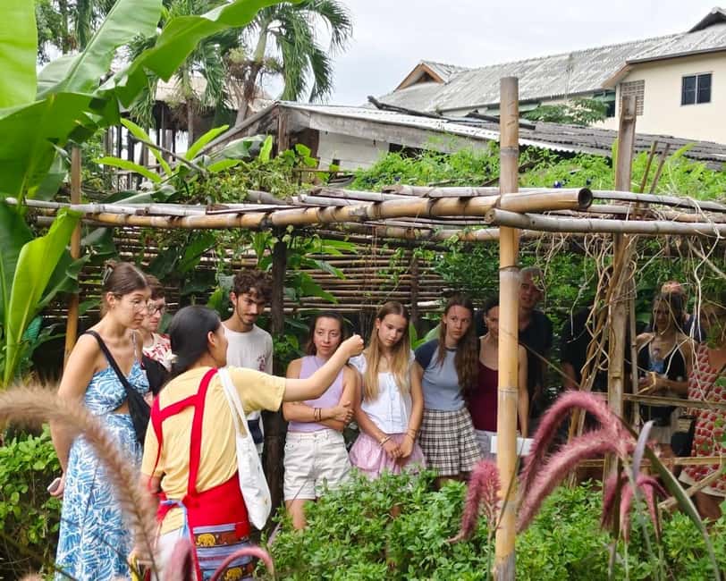 image n.2 of Chiang Mai: Cooking Class, Market & Thai Herbs Garden Tour activity in Chiang Mai, uploaded by supplier