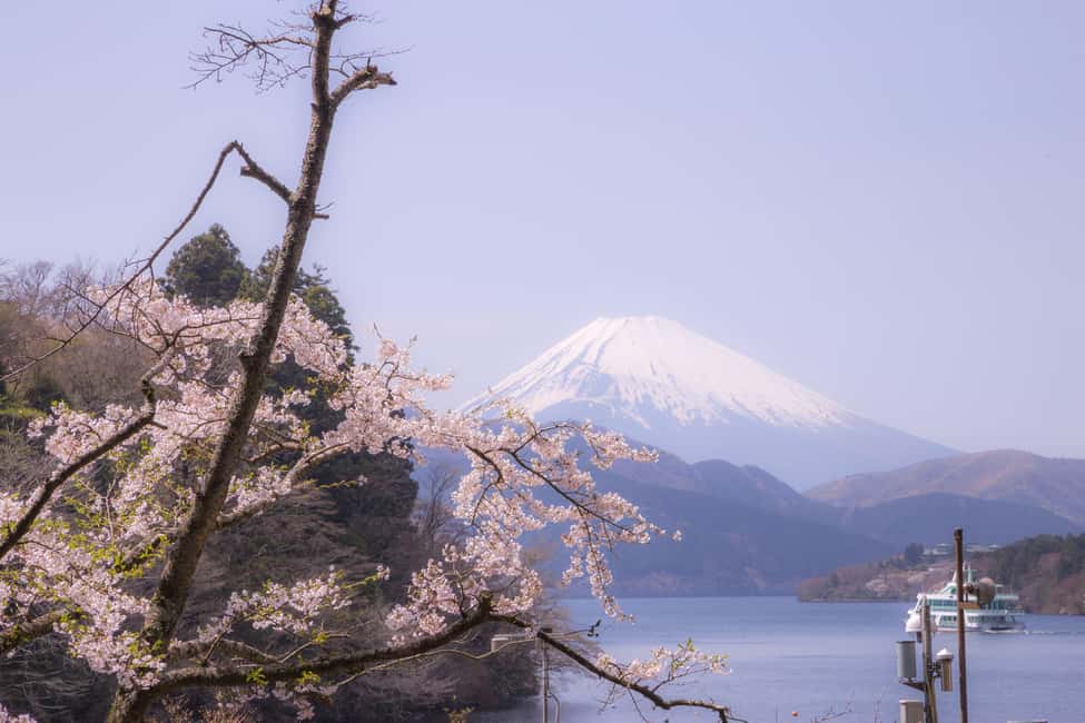 image n.2 of Tokyo: Hakone Fuji Day Tour w/ Cruise, Cable Car, Volcano activity in Hakone, uploaded by supplier