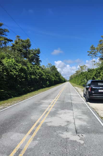 bild nr.7 av Miami: Everglades Airboat Eco Tour med lyxig transport aktivitet i Florida, uppladdad av arrangören