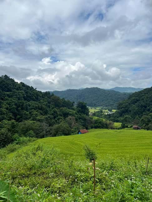 image n.45 of Chiang Mai: Doi Inthanon Park and Pha Dok Siew Trail Trek activity in Chiang Mai, uploaded by supplier