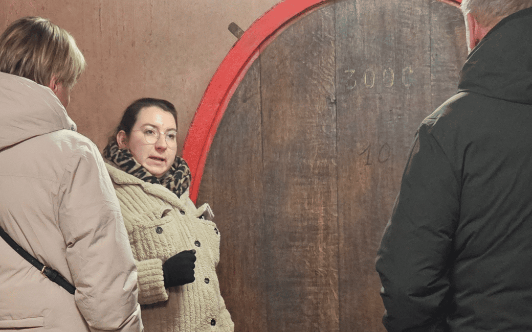 image n.11 of Alsace: Winery Tour and Alsatian Wine Tasting activity in Thann, uploaded by supplier