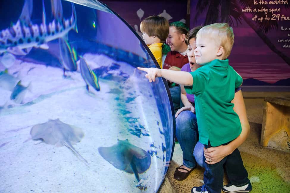 image n.4 of American Dream: SEA LIFE® Aquarium Entry Ticket activity in East Rutherford, uploaded by supplier
