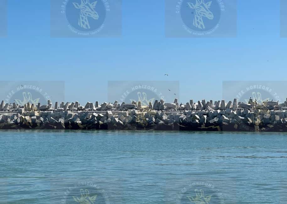 imagem n.46 de Cidade do Cabo: Ferry para Robben Island com ingresso para a prisão e passeio atividade em Cidade do Cabo, carregada pelo fornecedor