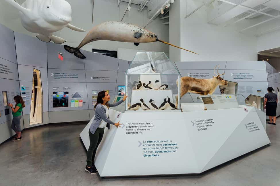 imagem n.2 de Otava: Ingresso no Museu Canadiano da Natureza atividade em Ottawa, carregada pelo fornecedor