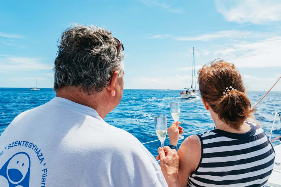 Immagine nº 4 di Tenerife: Osservazione di balene e delfini con bevande e snack attività a Costa Adeje, caricata dal fornitore