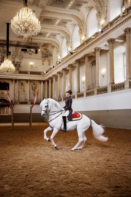 image n.5 of Performance Of The Lipizzans At Spanish Riding School activity in Vienna, uploaded by supplier