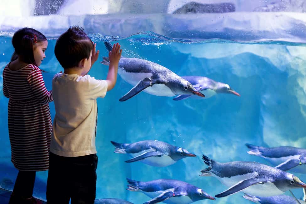 image n.11 of London: Madame Tussauds, London Eye & SEA LIFE Combo Ticket activity in London, uploaded by supplier