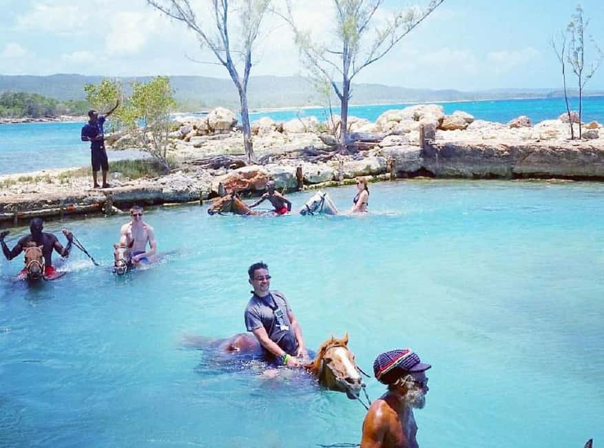 imagem n.5 de Transporte para o passeio a cavalo e natação em Chukka atividade em Montego Bay, carregada pelo fornecedor