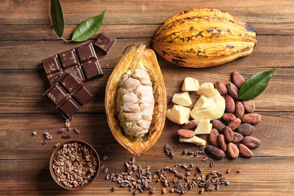image n.15 of Mérida: Uxmal and Chocolate Museum Choco-Story activity in Mérida, uploaded by supplier