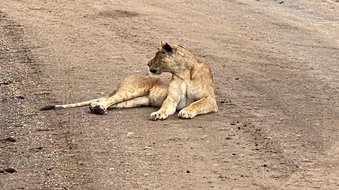 image n.3 of 6-Day kenya safari to Amboseli and Tsavo west & East. activity in Coast Province, uploaded by supplier