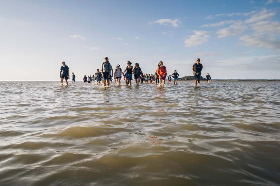 Image N°5 de Mont-saint-Michel : Promenade au cœur de la Baie activité à Normandie, publiée par le prestataire
