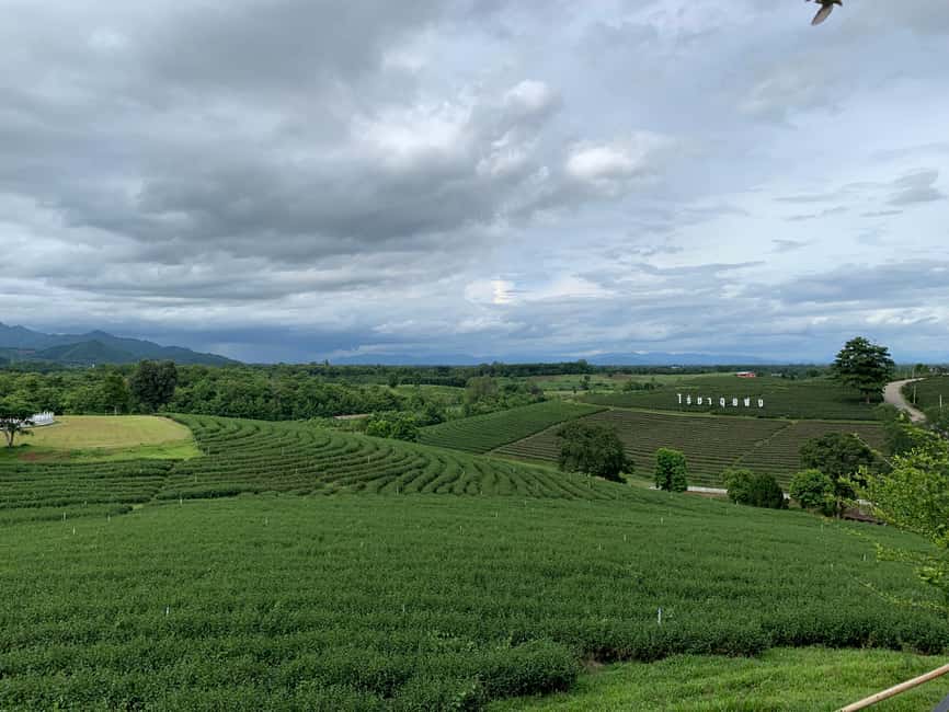 image n.26 of Chiang Rai Discovery:7 Attractions, Tickets & Lunch Included activity in Chiang Rai, uploaded by supplier