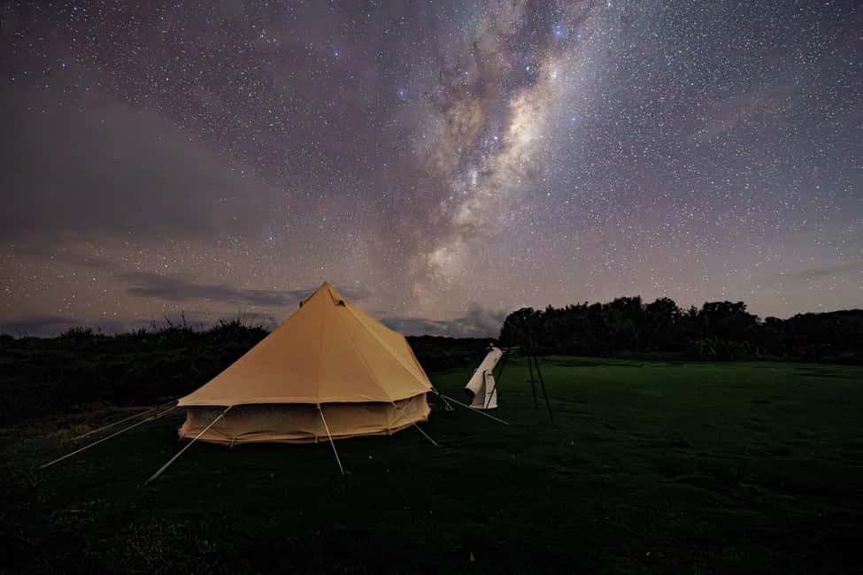 image n.5 of Tawharanui: Kiwi Spotting & Stargazing Tour w/ Optional Stay activity in Auckland, uploaded by supplier