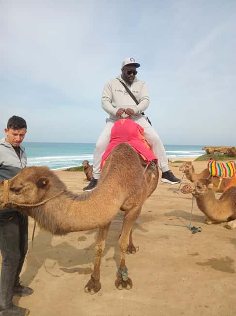 imagen n.º 12 de Tour guiado de lujo de 4 horas por Tánger + un tour en camello actividad en Tánger, subida por el proveedor