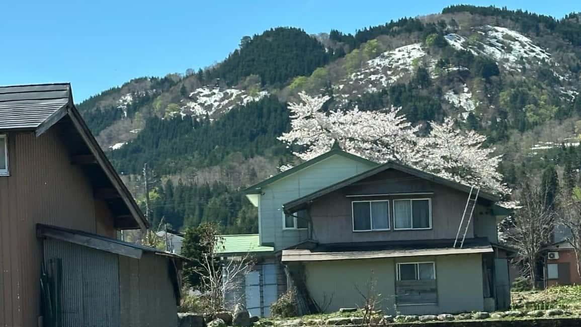 サプライヤーによってアップロードされた、高山の金沢/高山発：白川郷＆高山日帰りツアーの画像#54