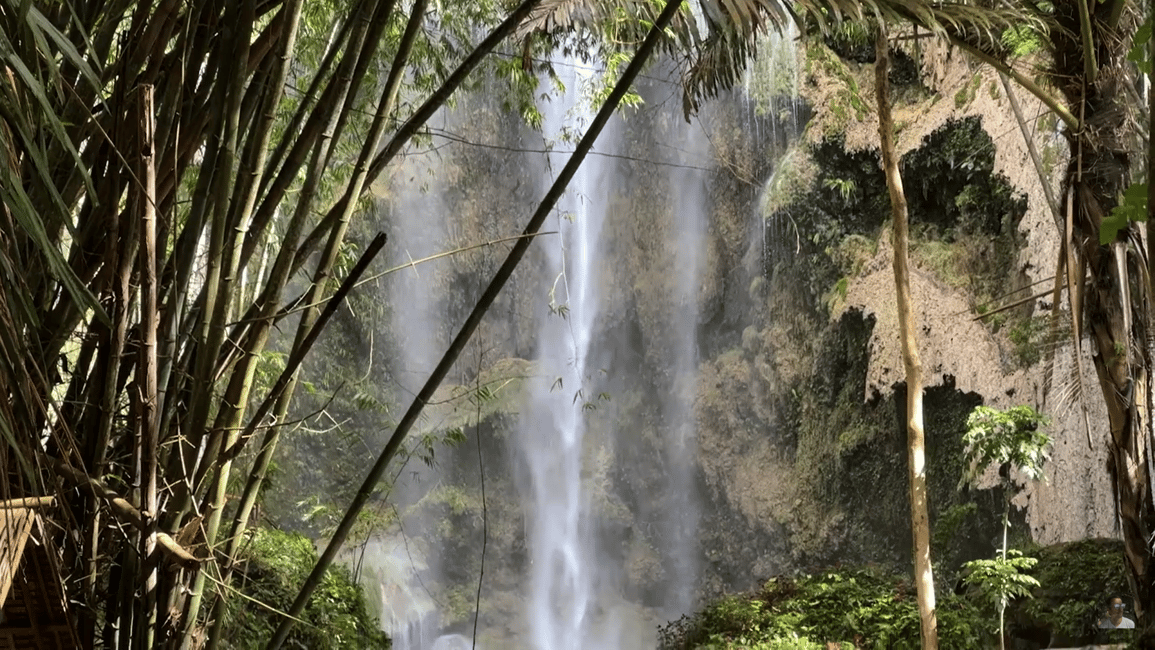 imagem n.18 de Oslob: Tubarões-baleia, Cataratas de Tumalog e Sumilon Trio Adventure atividade em Oslob, carregada pelo fornecedor
