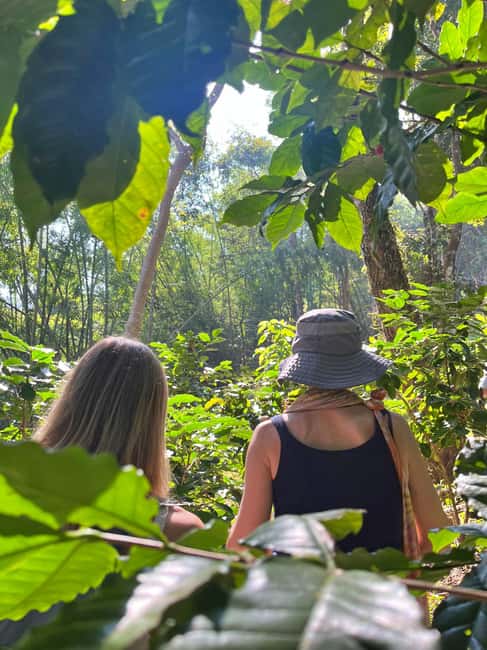 image n.5 of From Chiang Mai: High Mountain Day Trek activity in Chiang Mai Province, uploaded by supplier