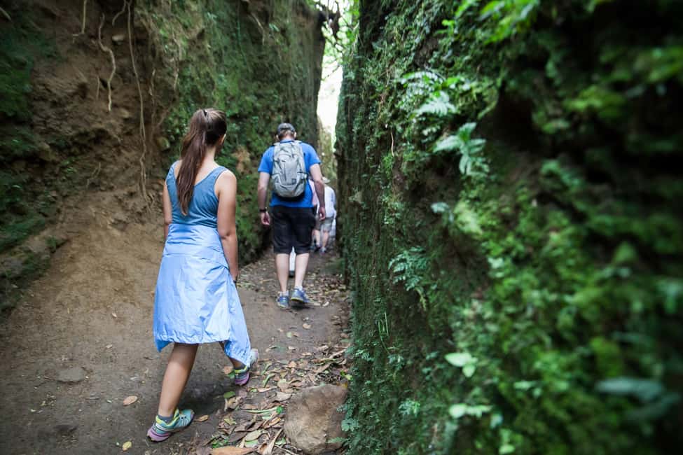 image n.2 of Mombacho Volcano Nature Reserve activity in Las Isletas de Granada, uploaded by supplier