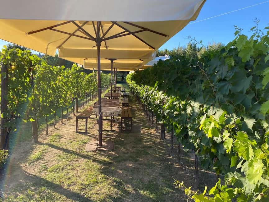 Immagine nº 5 di Firenze: Corso di cucina a San Gimignano con degustazione di vini attività a Firenze, caricata dal fornitore
