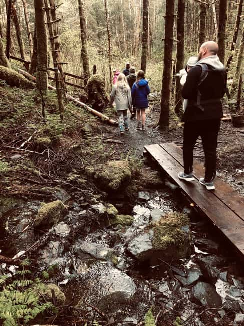 image n.4 of Ketchikan: Tongass Forest Alaska Bigfoot ATV Ride and Hike activity in Juneau Alaska, uploaded by supplier