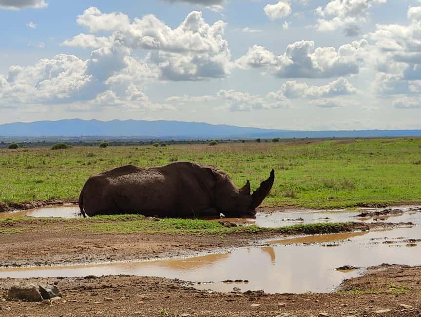 image n.6 of 6-Day kenya safari to Amboseli and Tsavo west & East. activity in Coast Province, uploaded by supplier