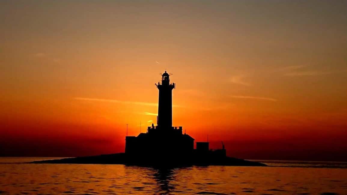 Immagine nº 6 di 3 ore di osservazione dei delfini al tramonto con bevande illimitate + cena attività a Istarska, caricata dal fornitore