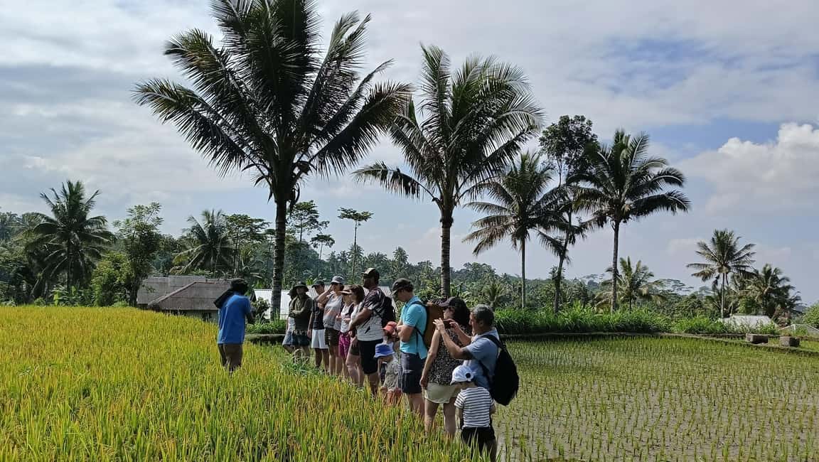 image n.2 of Lombok: Tetebatu Village and Rice Fields Guided Tour activity in West Nusa Tenggara, uploaded by supplier