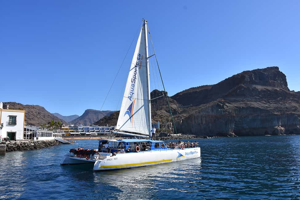 image n.8 of Puerto Rico: 4-Hour Catamaran Excursion in the South activity in Puerto Rico de Gran Canaria, uploaded by supplier