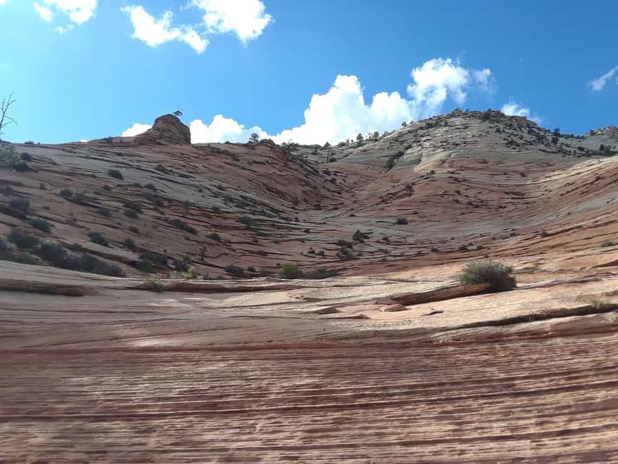 image n.7 of Small Group Tour Zion & Bryce Canyon National from Las Vegas activity in Utah, uploaded by supplier