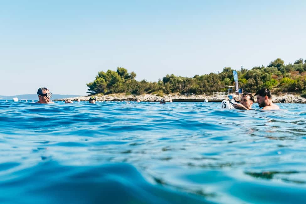 image n.16 of Split/Trogir: Blue Lagoon and 3 Islands Speedboat Tour activity in Dalmatia, uploaded by supplier