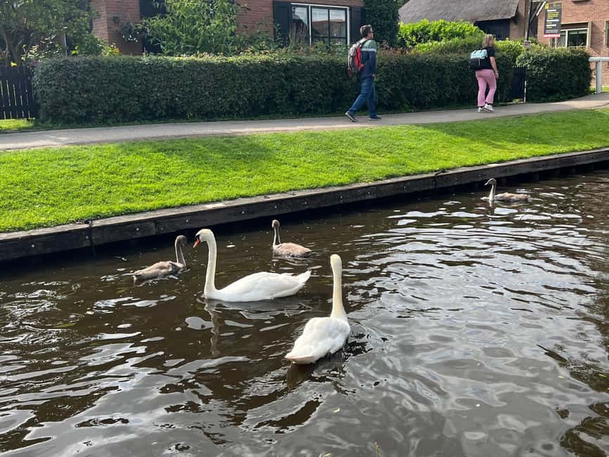 image n.20 of Amsterdam: Keukenhof Tulip Garden and Giethoorn Experience activity in Lisse, uploaded by supplier