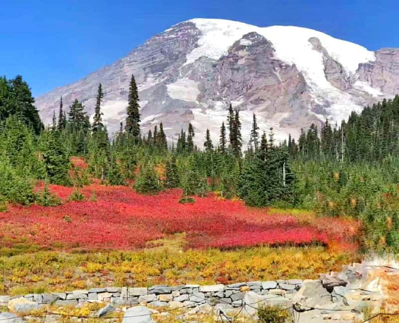 imagem n.4 de De Seattle: Excursão guiada de um dia ao Monte Rainier atividade em Washington, carregada pelo fornecedor