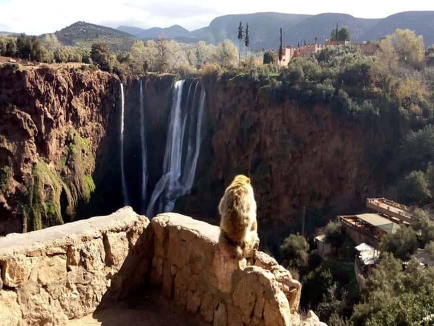 imagen n.º 8 de Marrakech: Excursión a las Cascadas de Ouzoud con opción de caminata y barco actividad en Beni-Mellal, subida por el proveedor