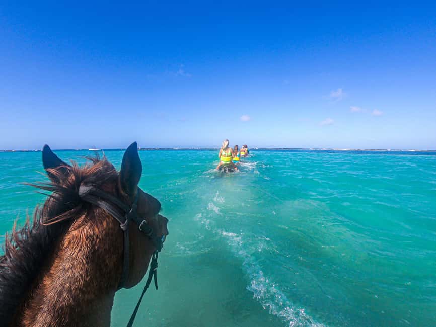imagem n.5 de De Ocho Rios: Passeio a cavalo e natação em Chukka atividade em Ocho Rios, carregada pelo fornecedor