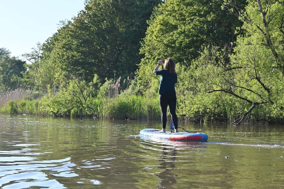 imagen n.º 2 de Biesbosch Alquiler de tablas de SUP actividad en Dordrecht, subida por el proveedor